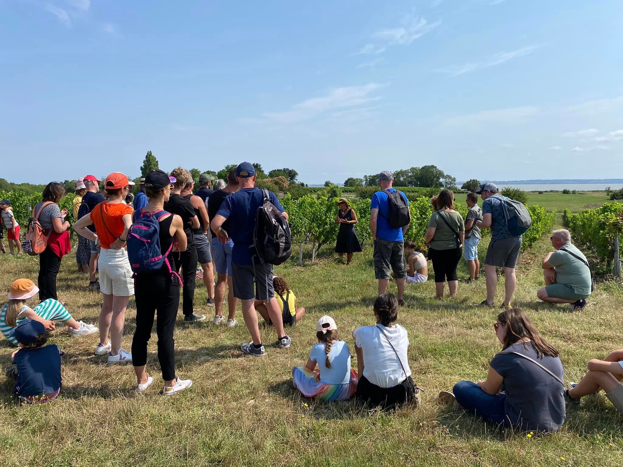 {"fr":"Balade commentée dans le vignoble ","en":"Commented walk in the vineyard"}