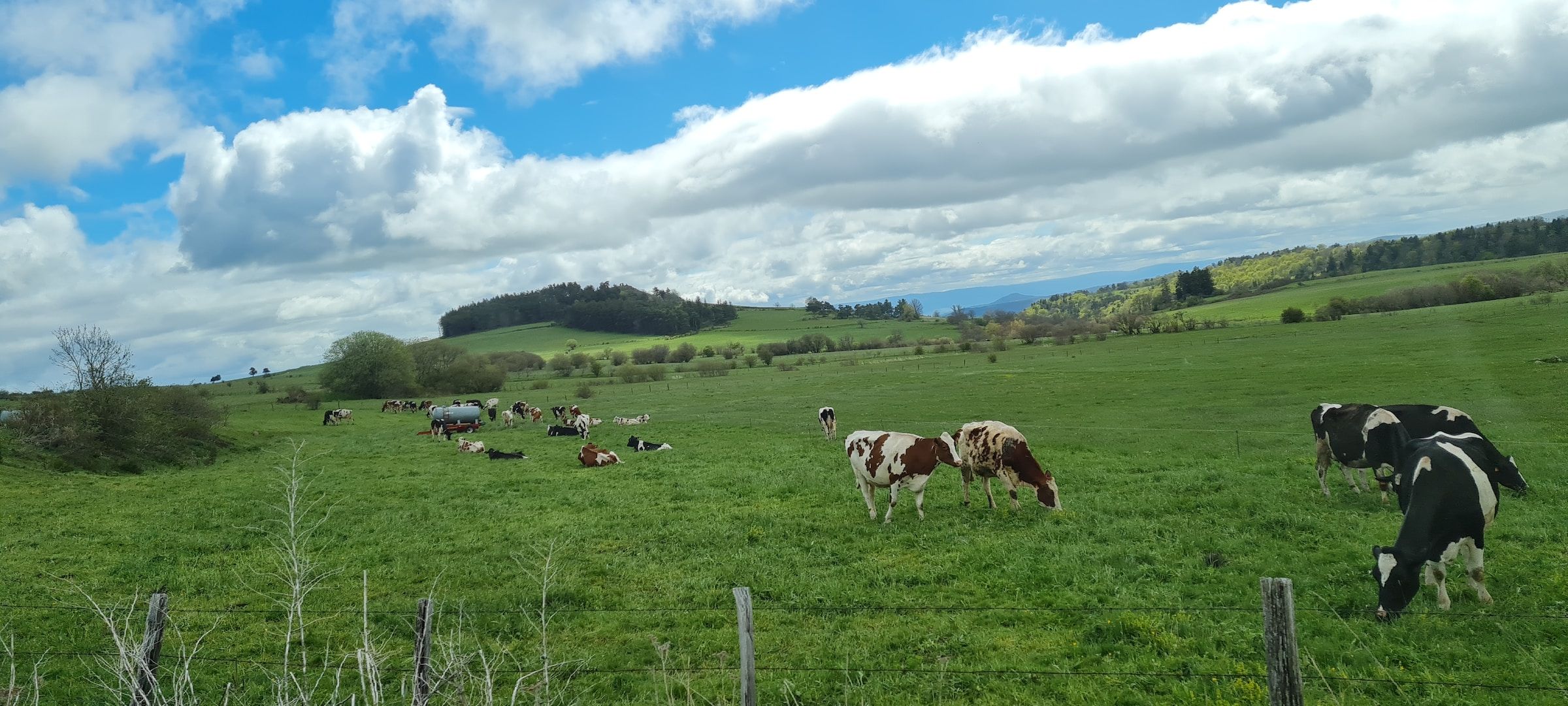 Visite privée d'une ferme traditionnelle en France