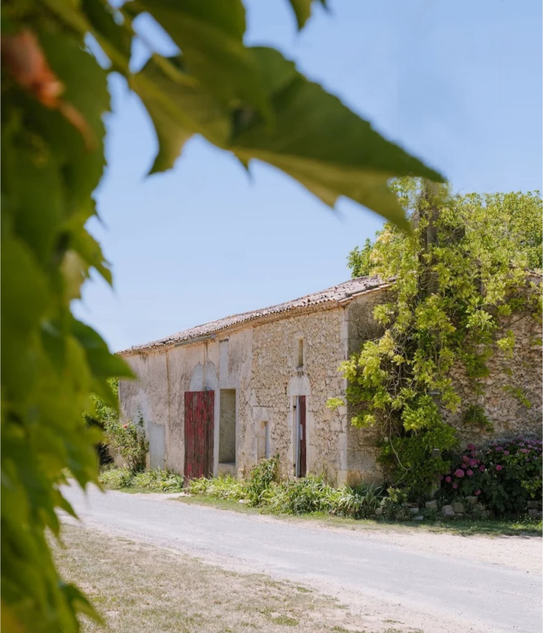 {"fr":"Château Moulin de Peyronin","en":"Château Moulin de Peyronin"}