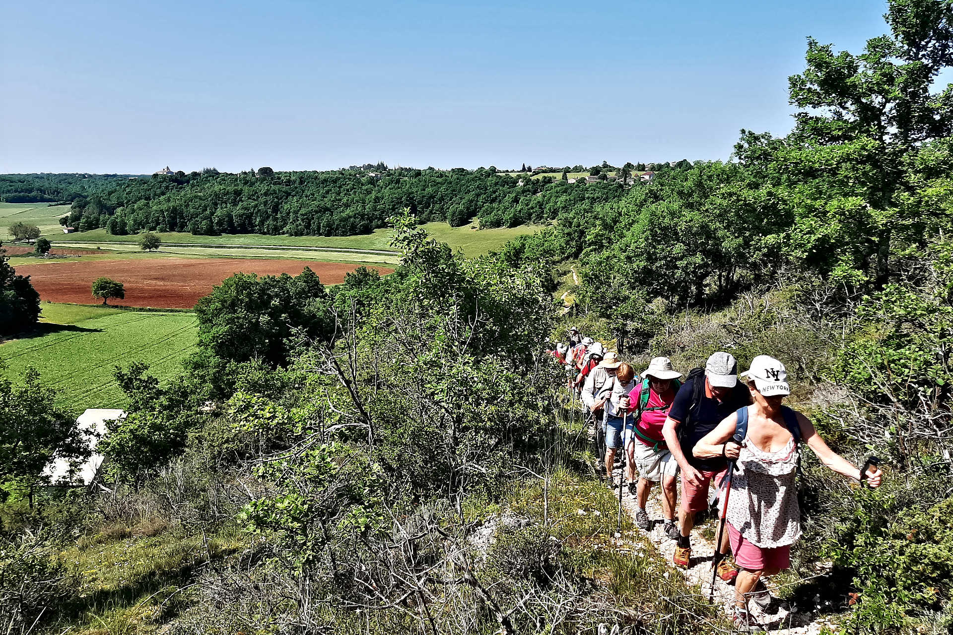 {"fr":"Au pays de la truffe du Quercy","en":"In the land of the truffle of Quercy"}