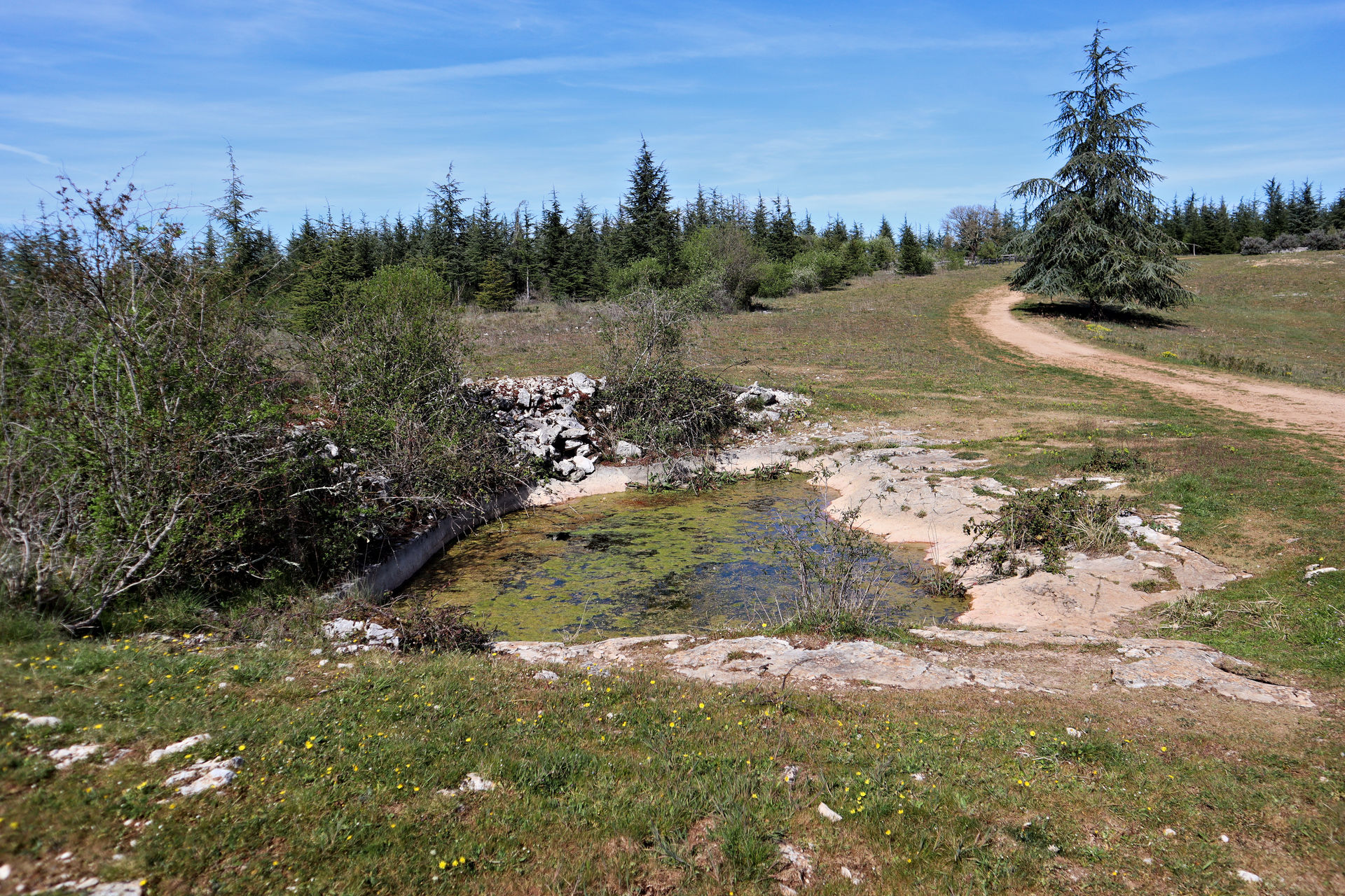 {"fr":"Enquête naturaliste dans la forêt de Monclar","en":"Naturalist survey in the forest of Monclar"}