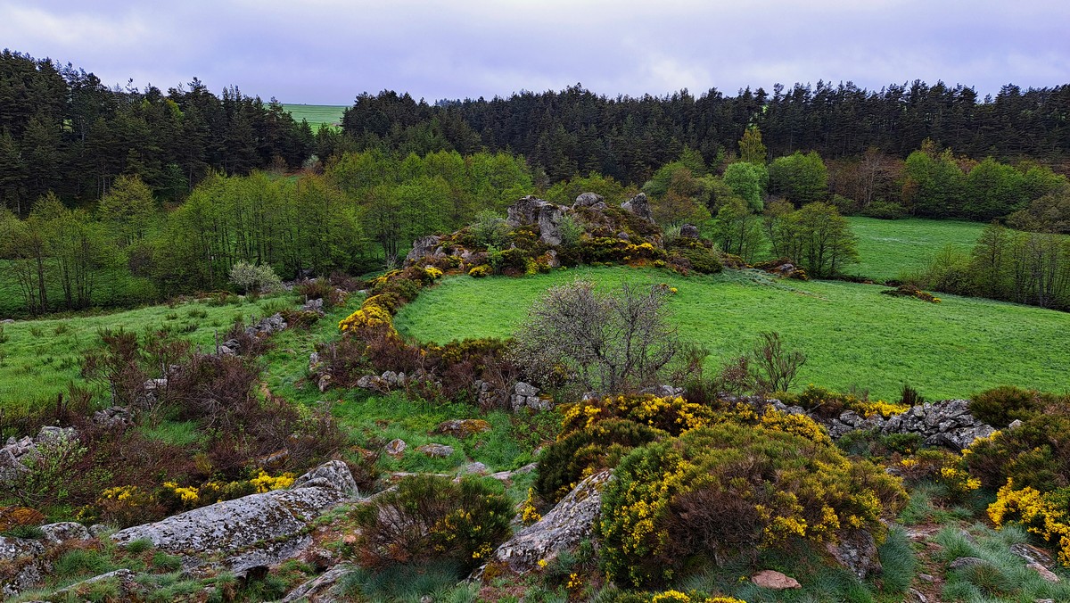 {"fr":"Tour du Mont Lozére du 19 au 24/05/2024 Tarif 1190€","en":"Tour of Mont Lozére from 05/19 to 24/2024 Price €1190"}