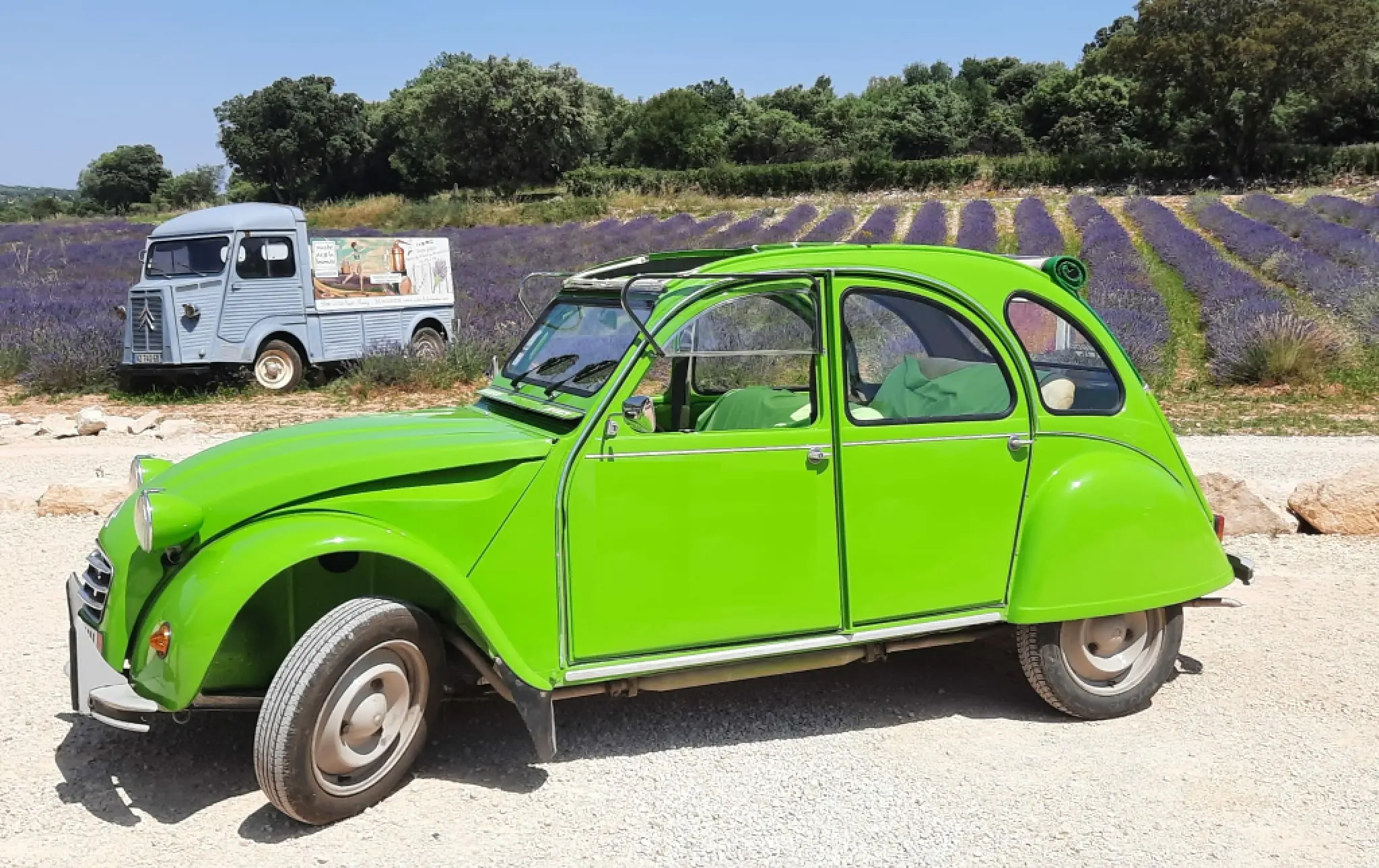 {"fr":"Circuits touristiques en Cévennes, Camargue, Ardèche, Côtes-du-Rhône...","en":"Tourist circuits in Cévennes, Camargue, Ardèche, Côtes-du-Rhône..."}