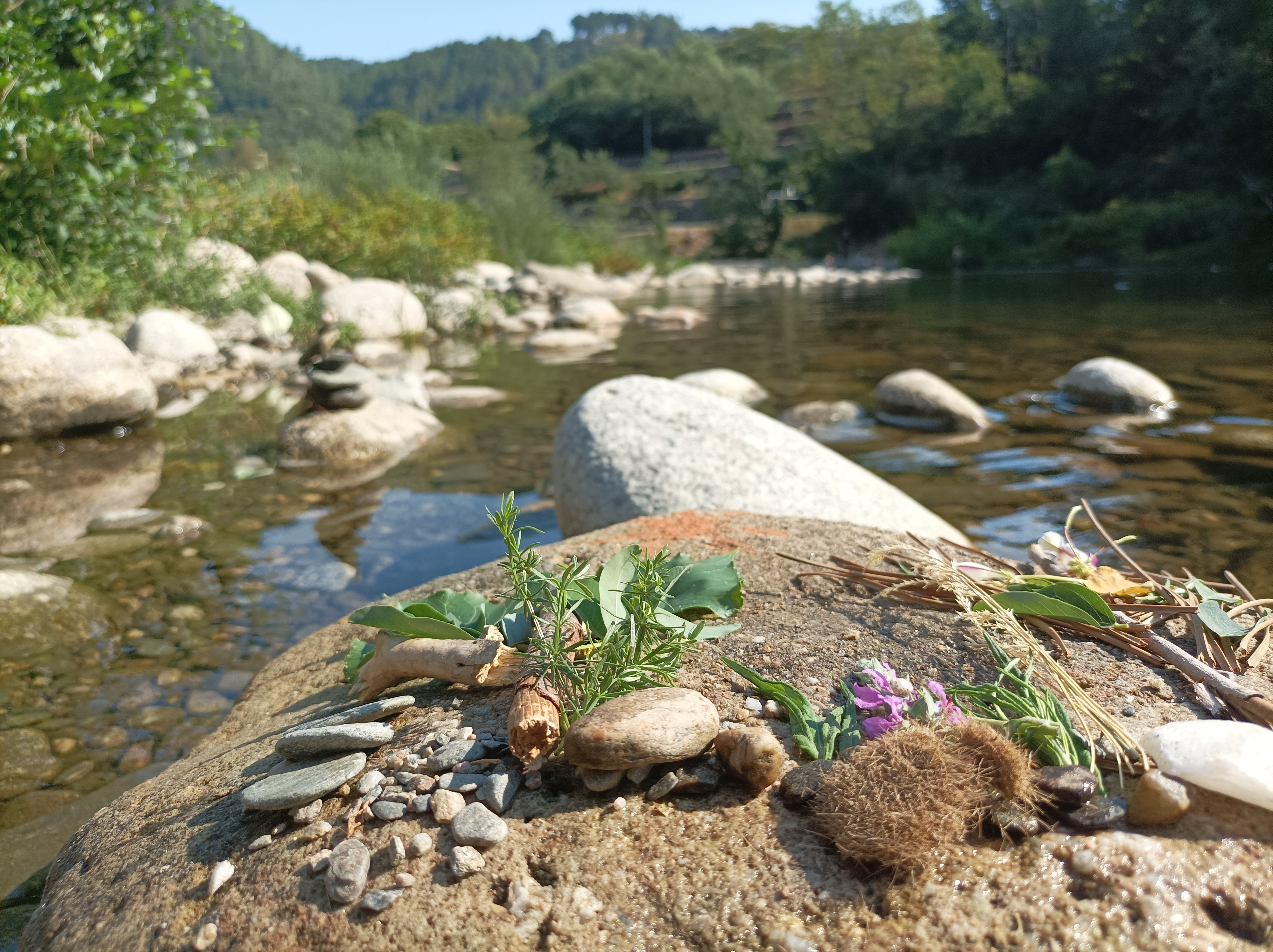 {"fr":"Bain de nature à la rivière","en":"Nature bath at the river"}